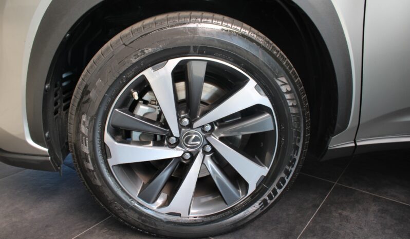 LEXUS – NX 300h 2.5 Sport 4wd cvt pieno