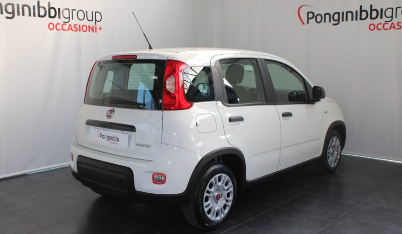 FIAT – Panda 1.0 firefly hybrid s&s 70cv pieno