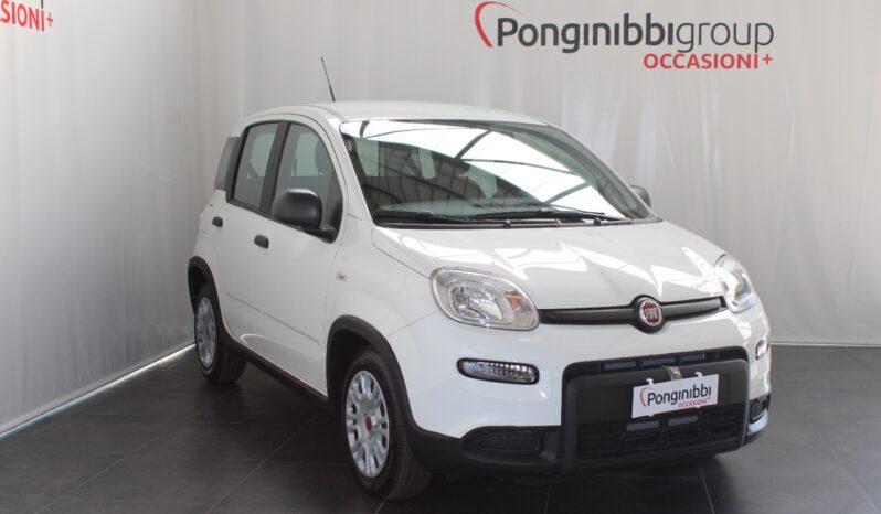 FIAT – Panda 1.0 firefly hybrid s&s 70cv pieno