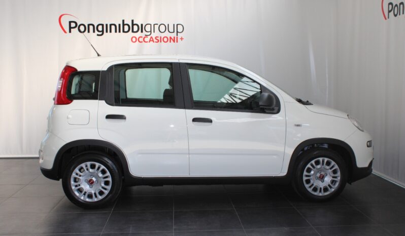 FIAT – Panda 1.0 firefly hybrid s&s 70cv pieno