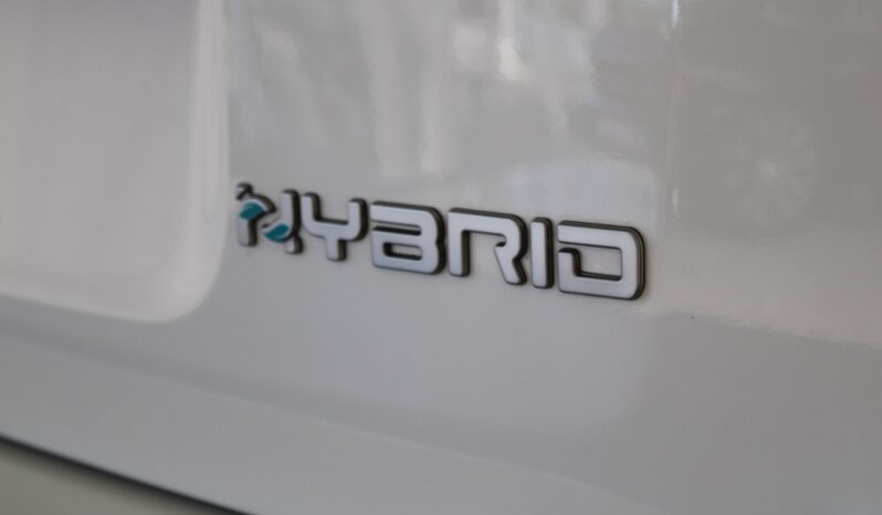 FIAT – Panda 1.0 firefly hybrid s&s 70cv pieno