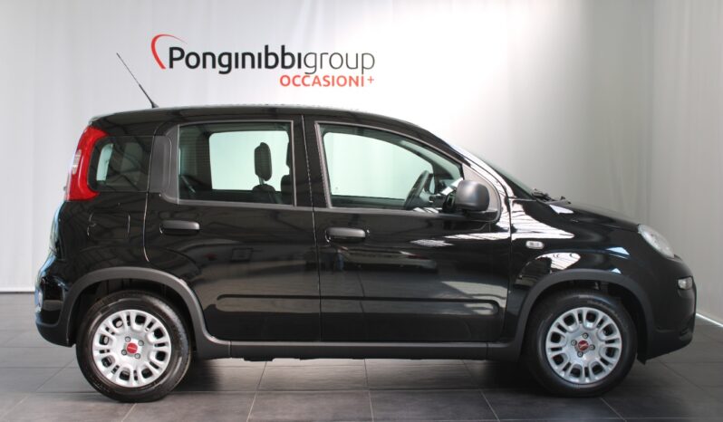 FIAT – Panda 1.0 firefly hybrid s&s 70cv pieno