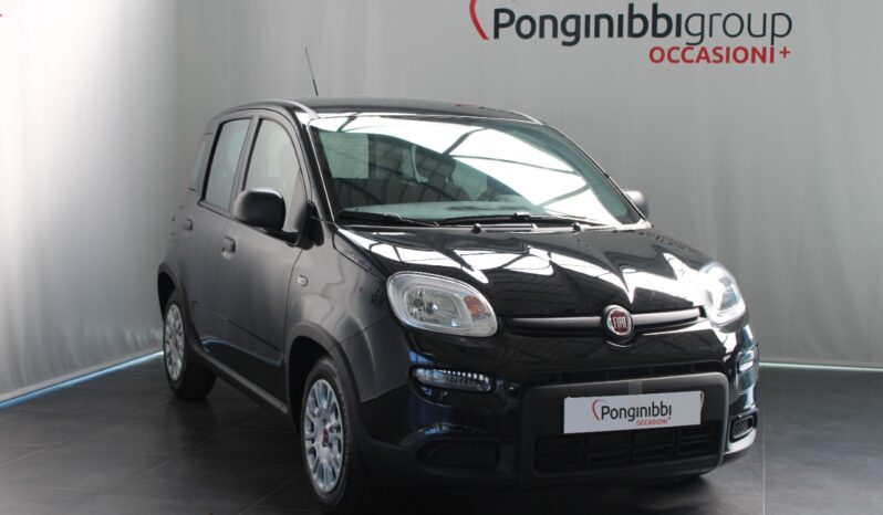 FIAT – Panda 1.0 firefly hybrid s&s 70cv pieno