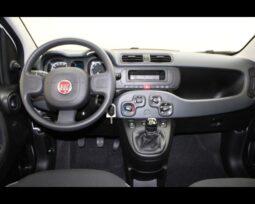 FIAT – Panda 1.0 firefly hybrid s&s 70cv pieno