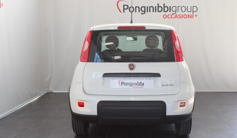 FIAT – Panda 1.0 firefly hybrid s&s 70cv pieno