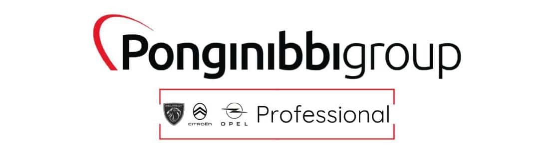 Logo Ponginibbi Professional