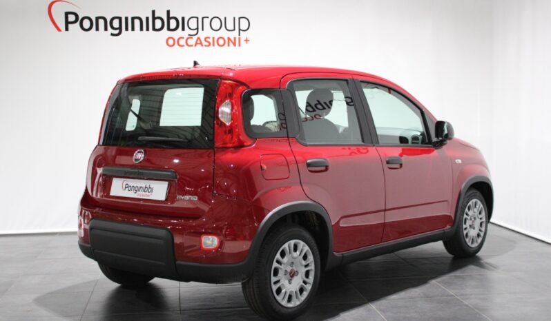 FIAT – Panda 1.0 firefly hybrid s&s 70cv pieno