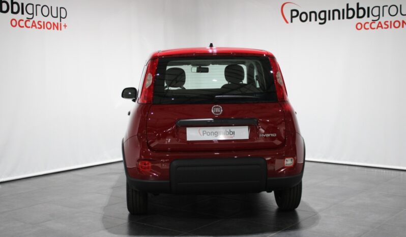 FIAT – Panda 1.0 firefly hybrid s&s 70cv pieno