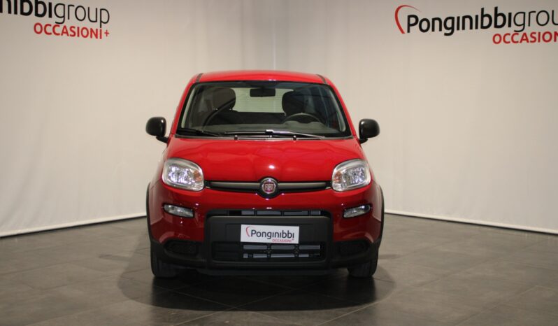 FIAT – Panda 1.0 firefly hybrid s&s 70cv pieno