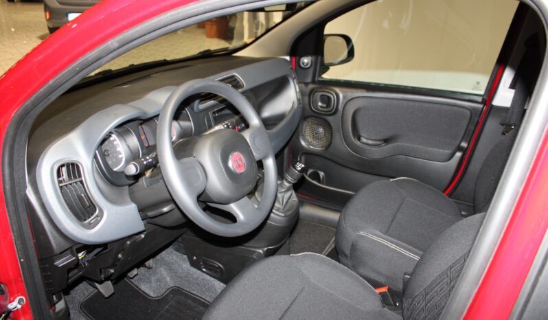 FIAT – Panda 1.0 firefly hybrid s&s 70cv pieno