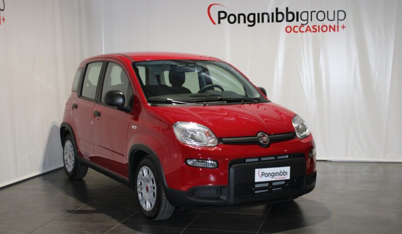 FIAT – Panda 1.0 firefly hybrid s&s 70cv pieno